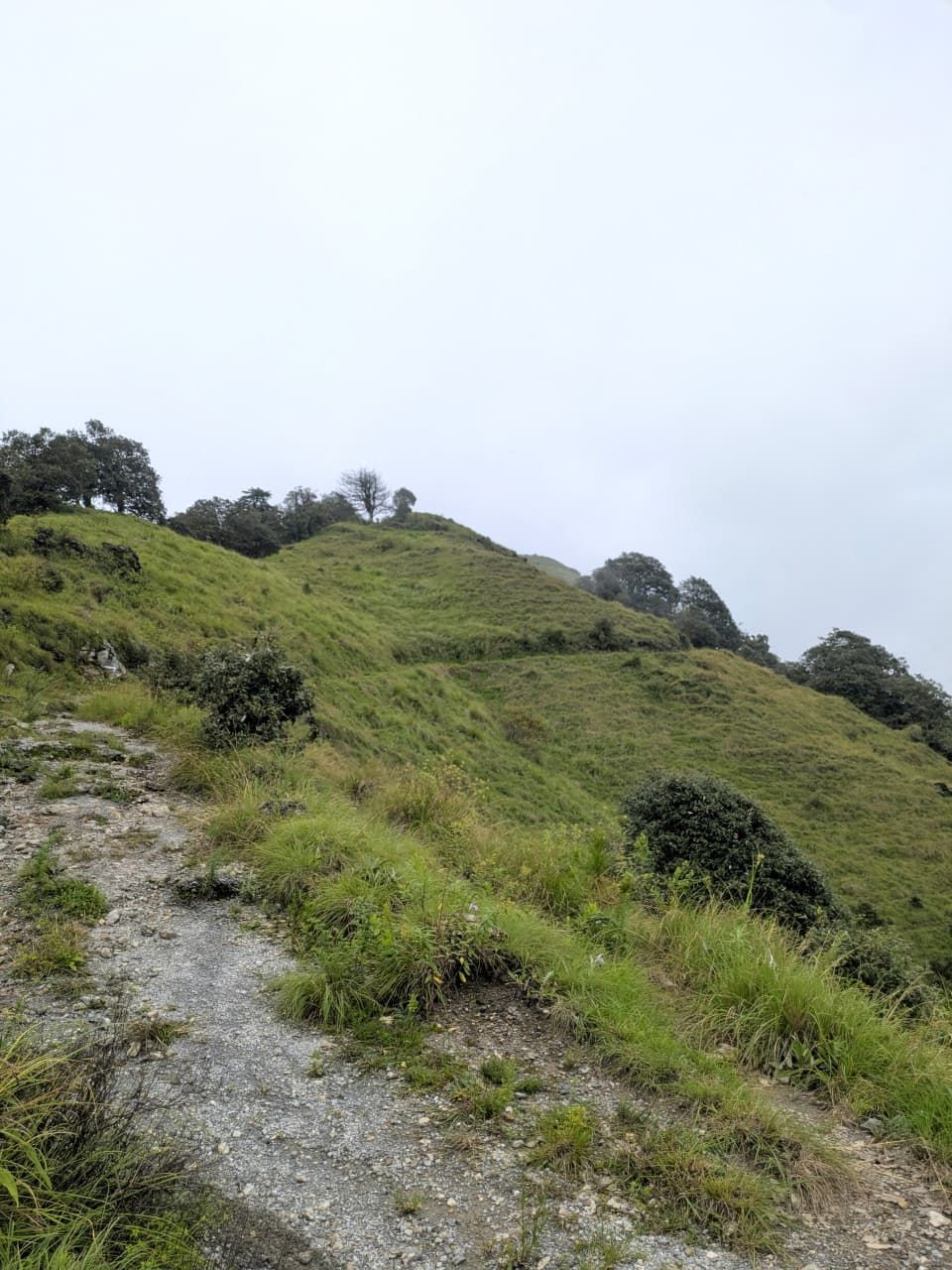 Grassy ridge trail on Benog Peak