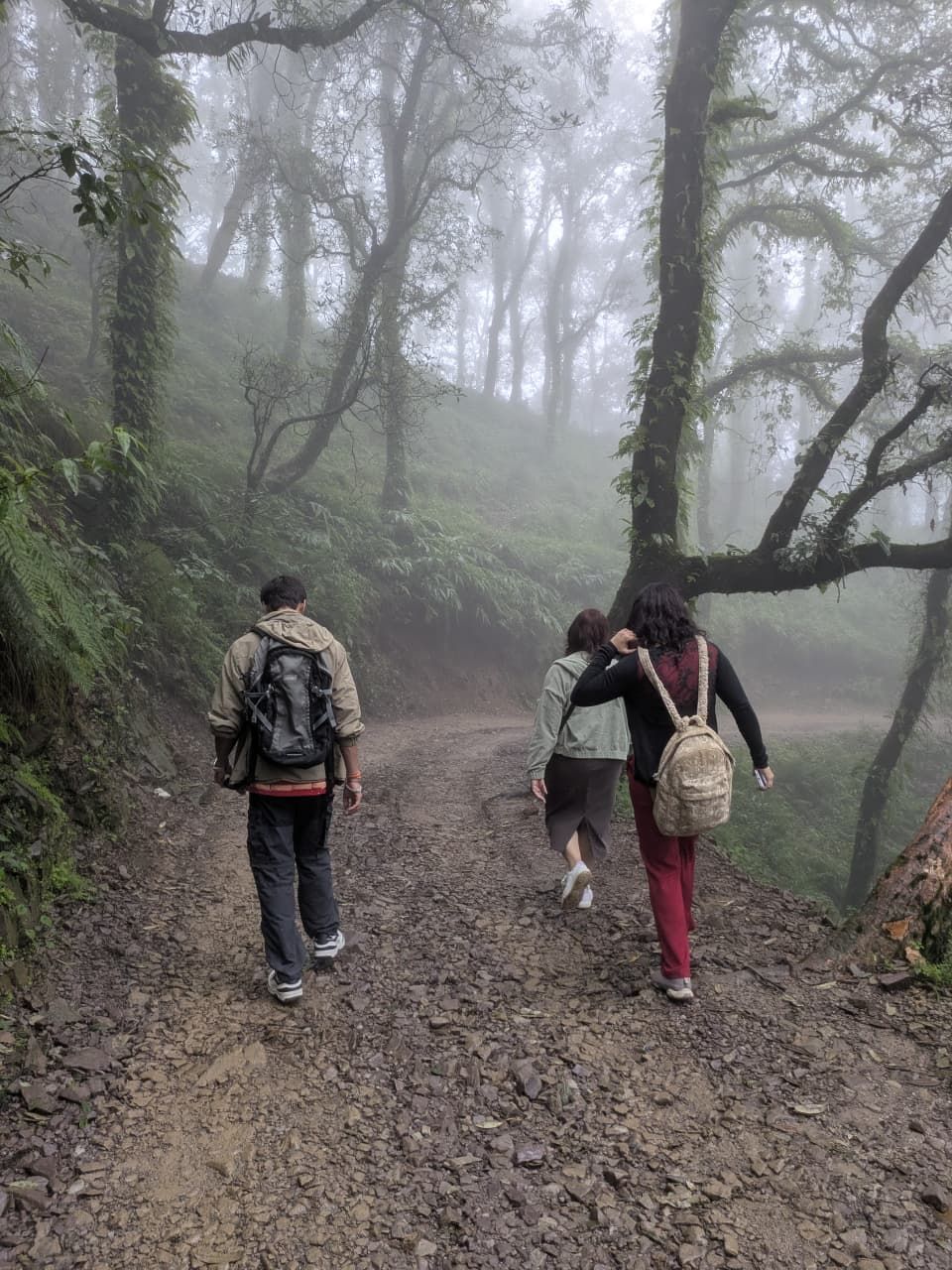 Trekkers walking a misty forest trail to Bhadraj Peak