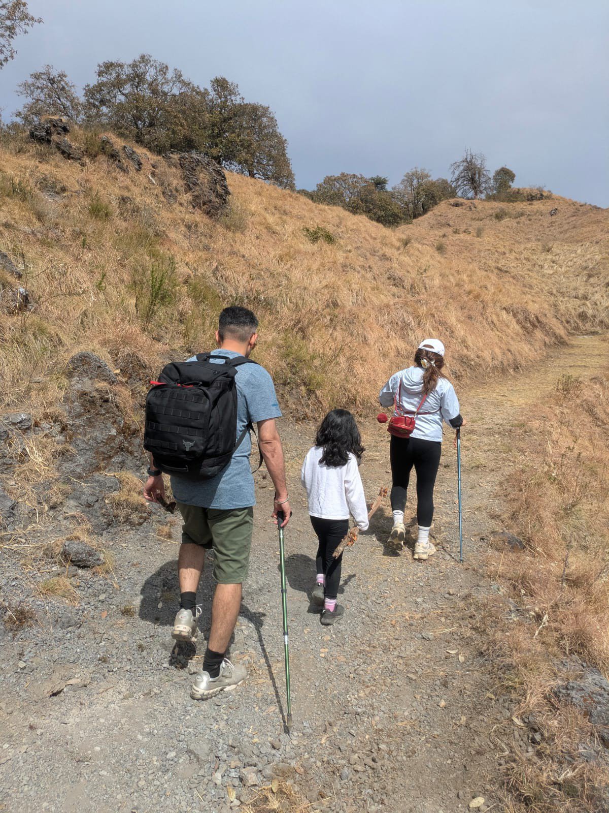 Family walking the trekking trail
