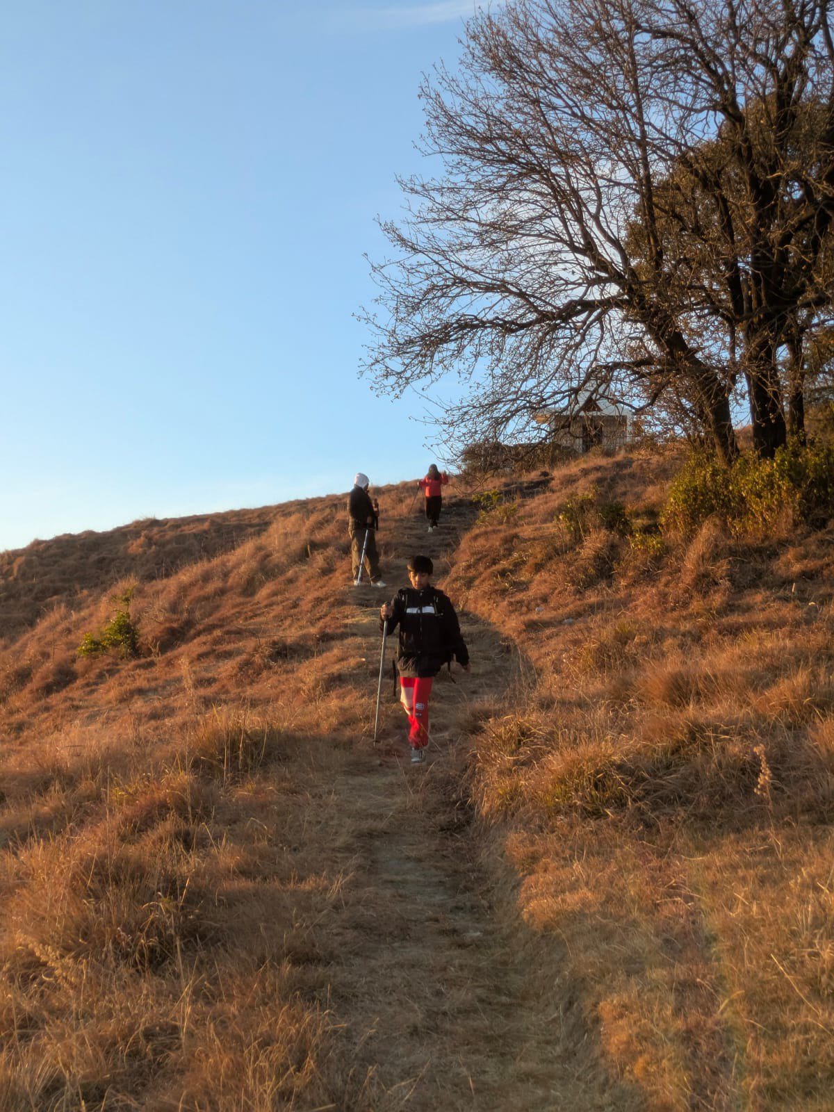 Hikers climbing a golden hour trail