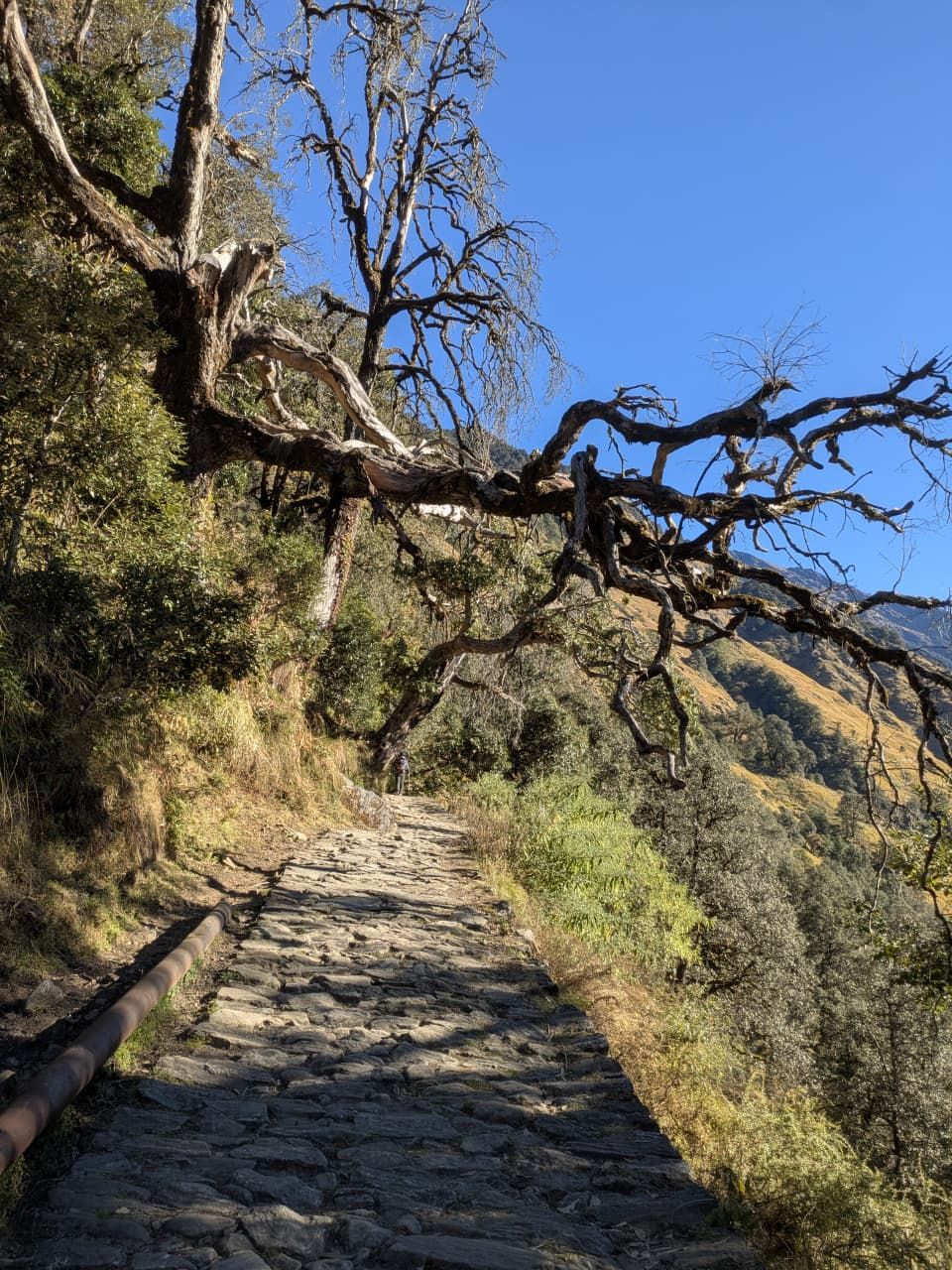 Stone trail on the way to Naag Tibba summit