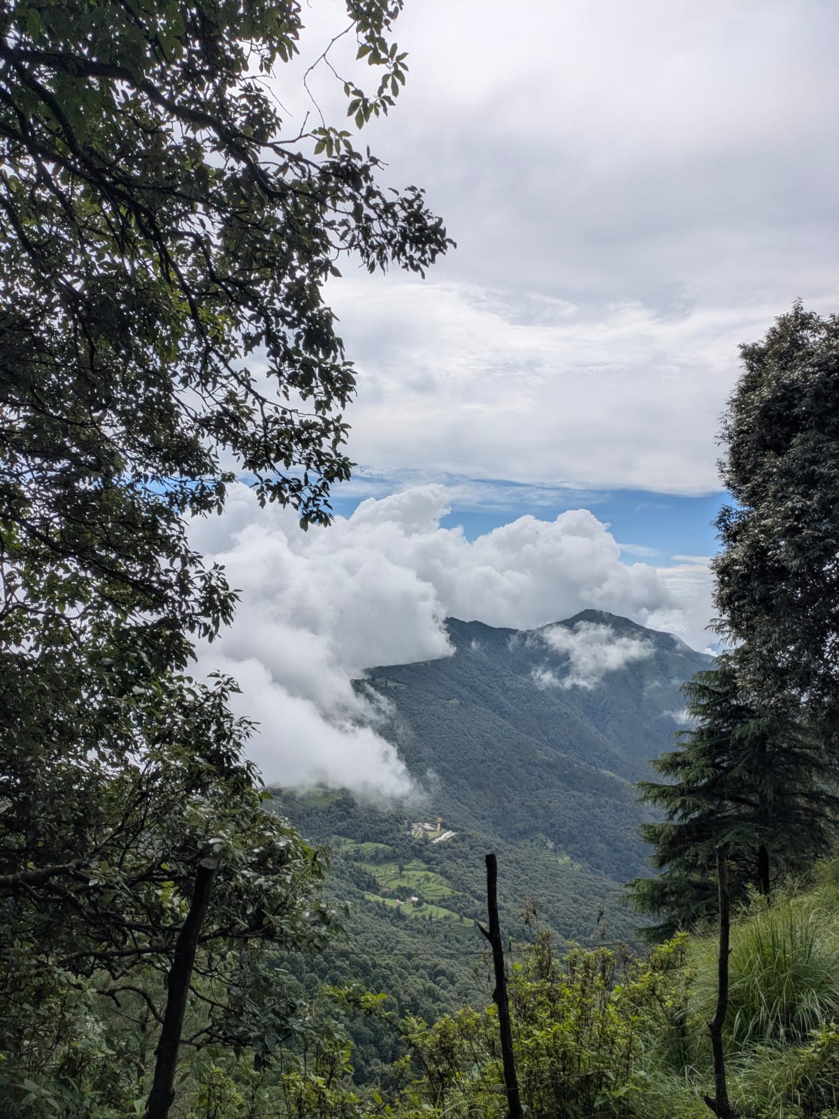 Mountain peak framed by trees and clouds