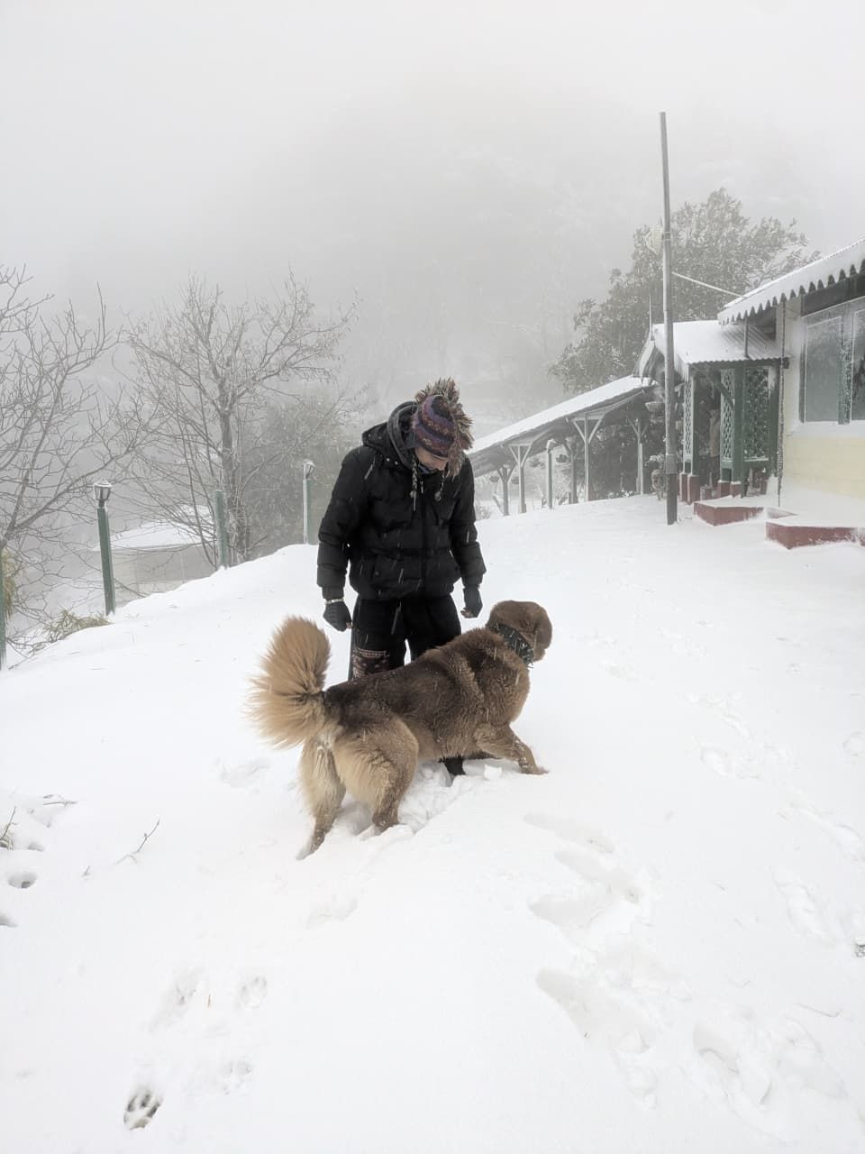 Snow trek near Mussoorie in winter
